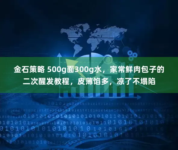 金石策略 500g面300g水，家常鲜肉包子的二次醒发教程，皮薄馅多，凉了不塌陷